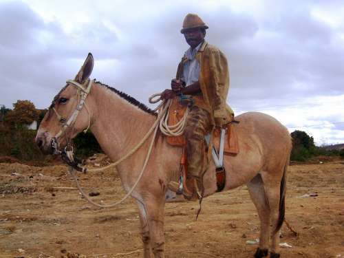 Mass Cowboy Vale Do Jequitinhonha Araçuaí Cowboy