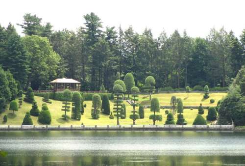 Massachusetts Lake River Water Forest Trees Grass