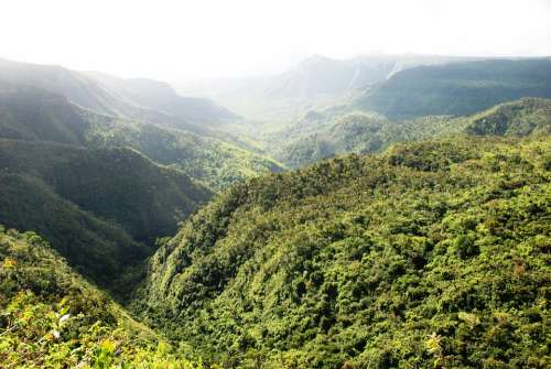Mauritius Jungle Island Forest Hill Landscape