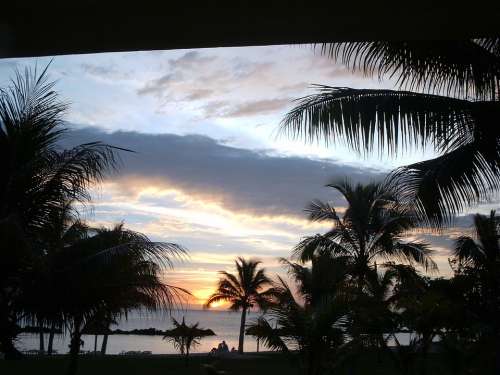 Mauritius Sunset Palm Trees Twilight