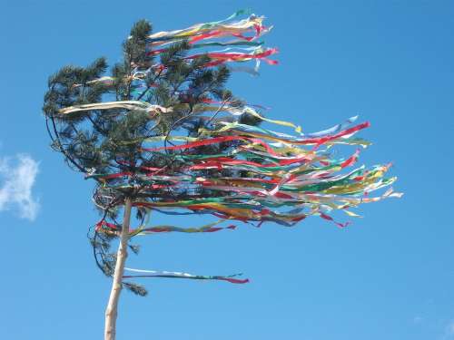 Maypole Celebration Tree May Holiday Decoration