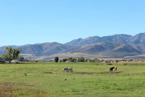 Meadow Landscape Grass Pasture Farm Outdoor