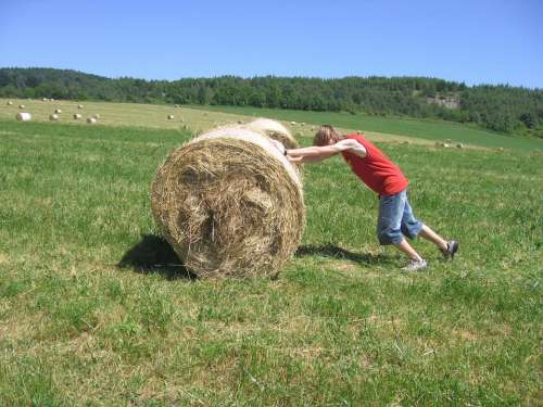 Meadow Hay Boy Playing Fun Pushing Hay Bale Bale