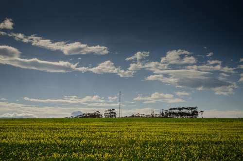 Meadows Pasture Grass Fields Sky Landscapes