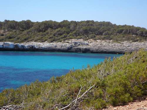Mediterranean Coast Vacations Sea Nature Mallorca