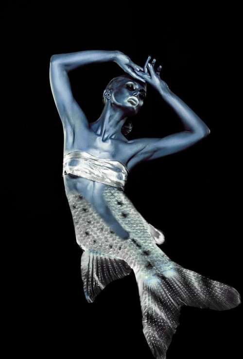 Mermaid Fish Man Woman Mythical Creatures