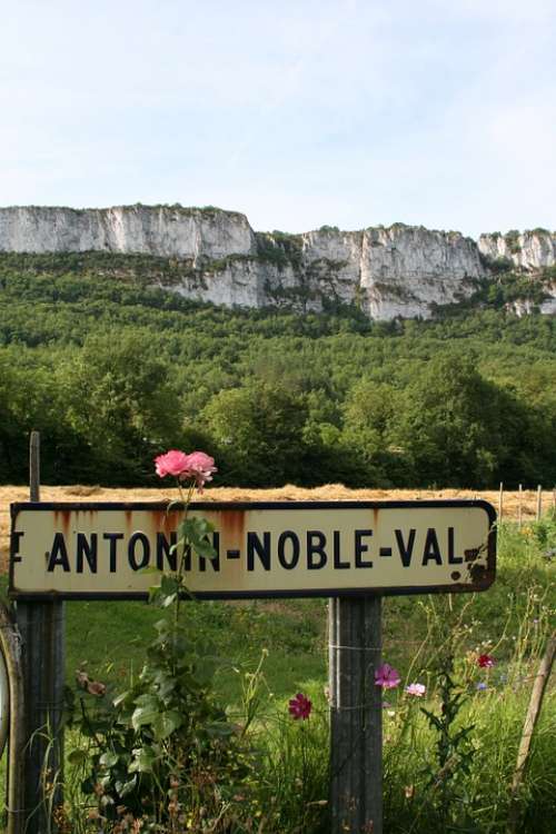 Midi-Pyrenees Antonin Noble Val France Flower