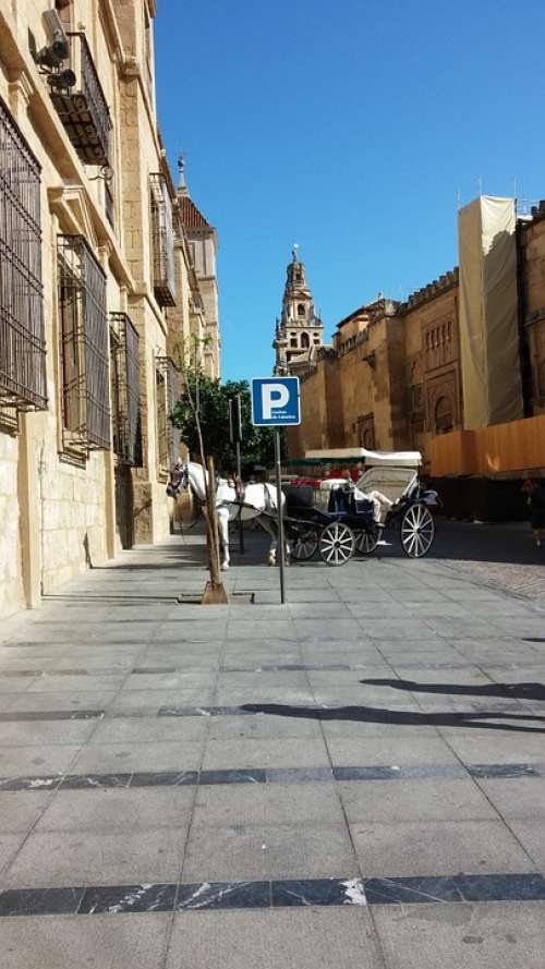 Mijas Spain White Horse Carriage Buggy Parking