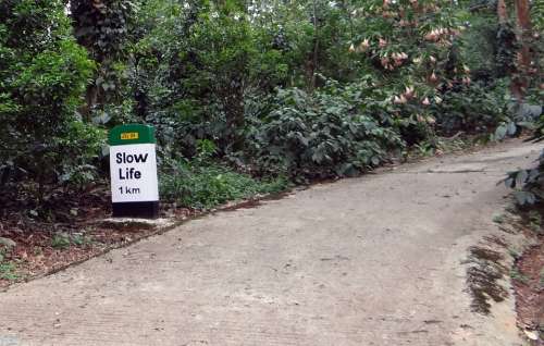 Milestone Road Sign Roadsign Amusing Kodagu