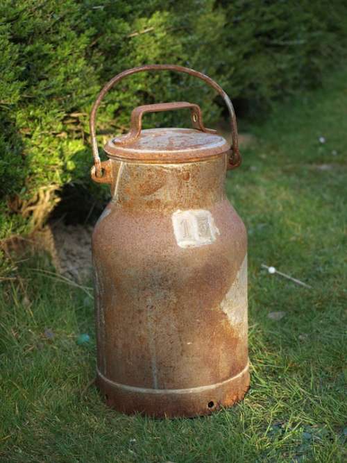 Milk Can Old Iron Pot