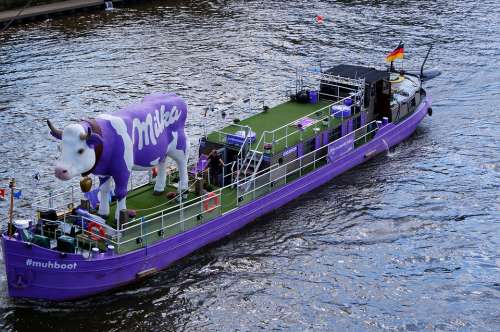 Milkakuh Purple Boat Elbe Advertising Ad Ship Cow