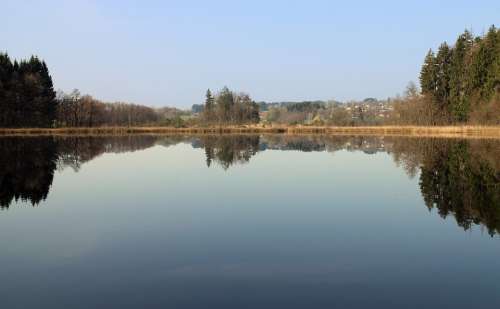 Mirroring Reflections Nature Trees Water Surface