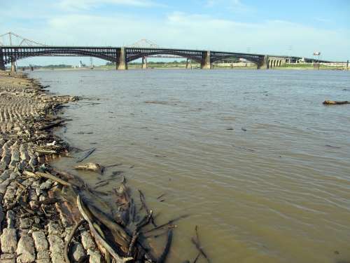 Mississippi River Riverbank Levee Bridge Driftwood