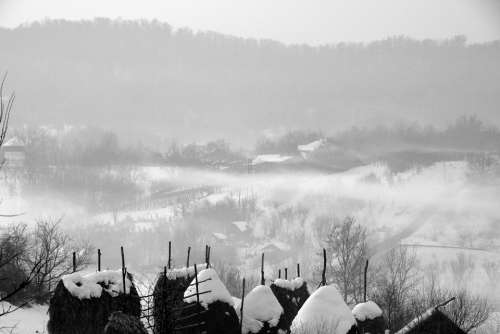 Mist Snow Morning Nature Winter White Cold