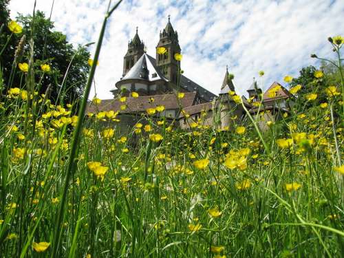 Monastery Comburg Schwäbisch Hall Meadow Bloom