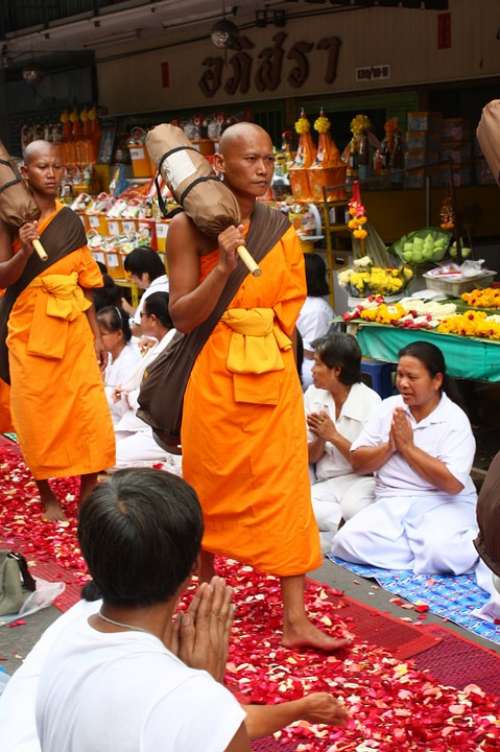 Monk Buddhists Monks Walk Rose Petals Traditions