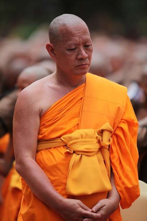 Monk Buddhist Meditate Tradition Ceremony Orange