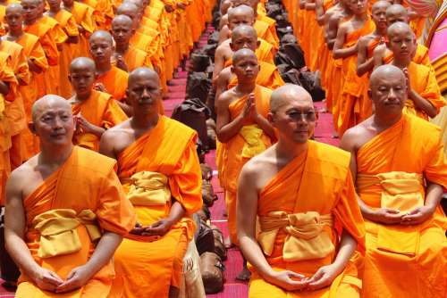 Monk Buddhists Sitting Elderly Old Bald Tradition