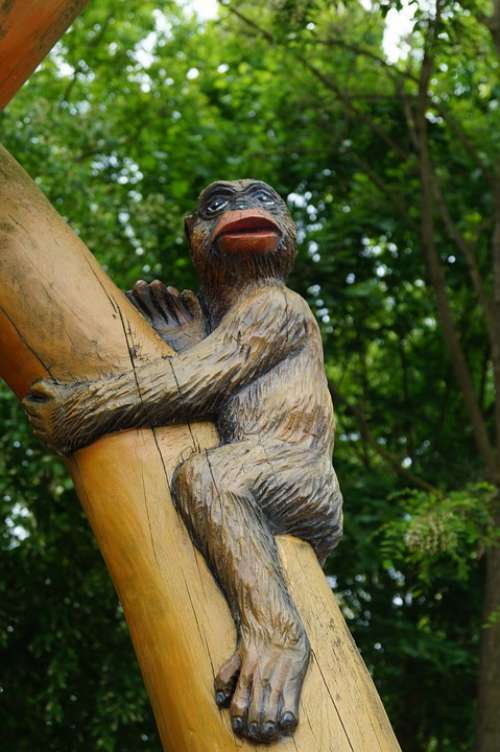 Monkey Tree Äffchen Jungle Zoo Nature Animal