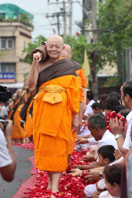 Monks Buddhists Walk Rose Petals Thailand