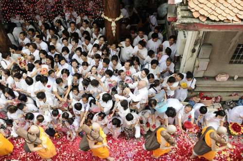 Monks Buddhists Walk Rose Petals Thailand