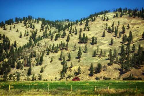 Montana Ranch Farm Rural Mountains Trees