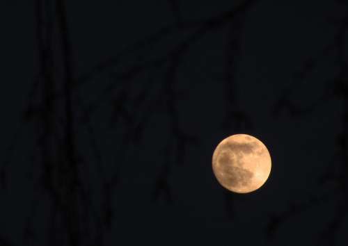 Moon Full Moon Night Darkness Dusk