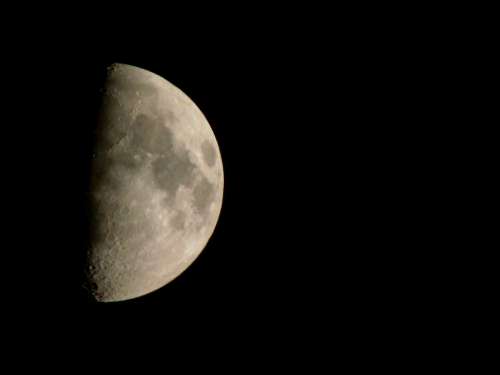 Moon Night Night Photograph