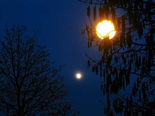 Moon Moon Shine Moon Light Street Lamp Hazelnut