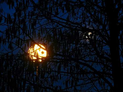 Moon Moon Shine Moon Light Street Lamp Hazelnut