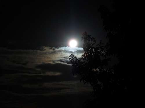 Moon Brightness Night Dark