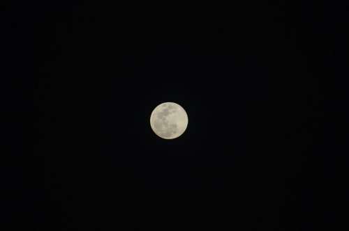 Moon Moonlight Night Full Moon Sky Nocturne Dark