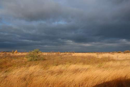 Moor Atmospheric Sky Clouds Nature Field Marsh