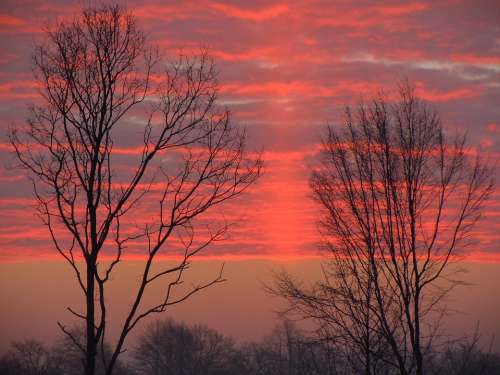 Morgenrot Clouds Bright Red Trees Silhouette