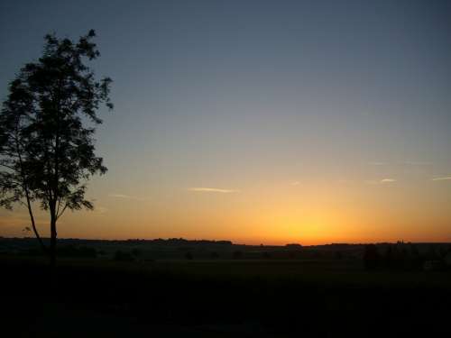 Morgenstimmung Morning Light Sunrise Skies Trees