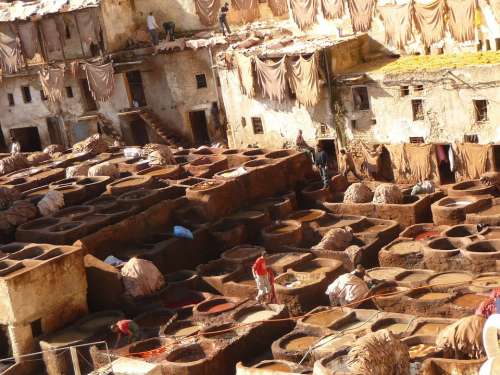 Morocco Skins The Tannery Artisans