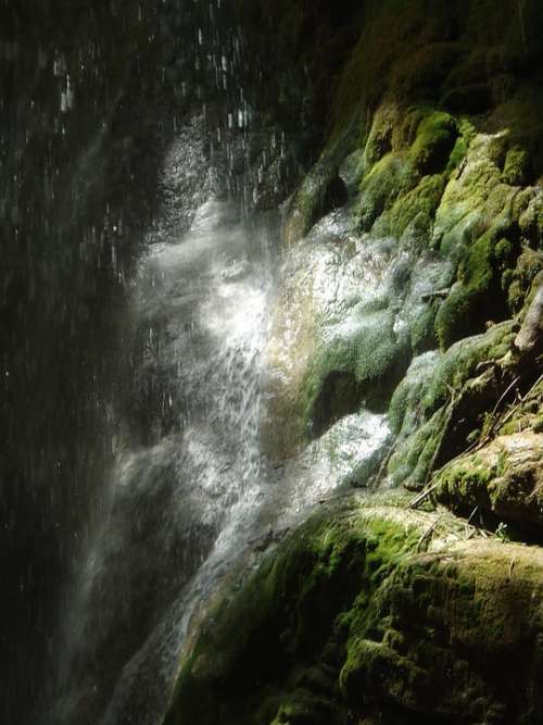 Moss Waterfall Wet Slippery Wild Green Nature