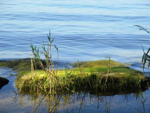 Moss Lake Water Blue Stone Large Green Bank