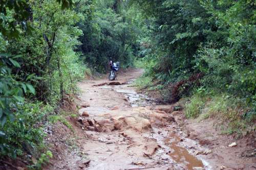 Motorcycle Jungle Road Tree Rain Wet Paraguay