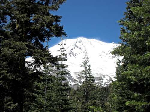 Mount Shasta Mountain Trees Landscape Natural Peak