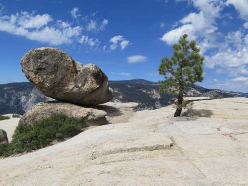 Mountain Pine Landscape Rock
