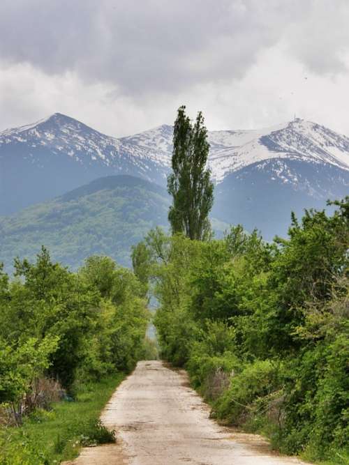 Mountain Road Country Way Path Trees Outdoors