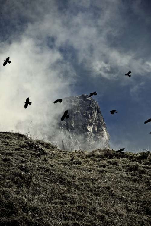 Mountains Mountain Dolen Dolen Birds Klausen Pass