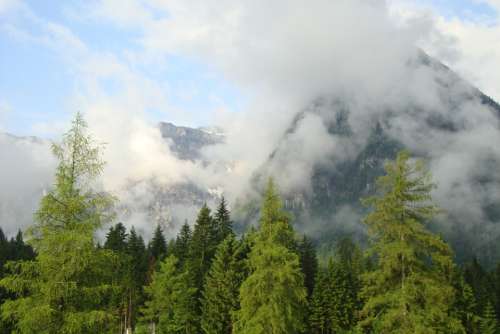 Mountains Fog Achensee Forest Coniferous Forest