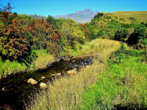 Mountains River Stream Grass Trees Nature