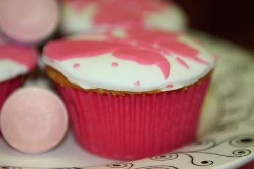Muffin Food Cake Cupcake Birthday Sweet Dessert