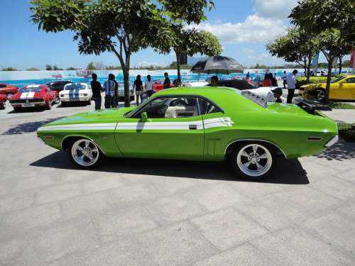 Muscle Car Challenger Vintage Green Retro Rear