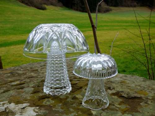 Mushroom Glass Mushroom Decoration Atmosphere