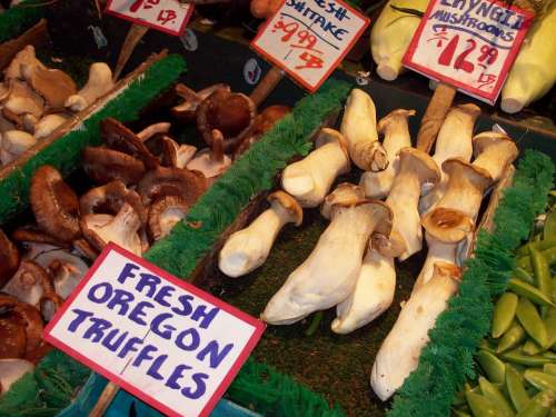 Mushrooms Truffles Farmers Market Fresh Food