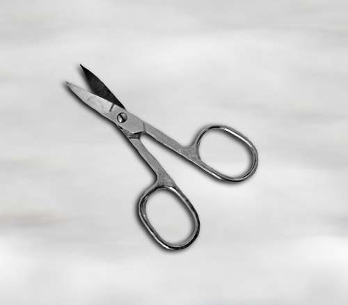 Nail Scissors Scissors Tool Metal Cut